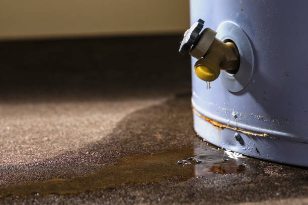 Best Water damage restoration near me  in Bethel Rk, PA