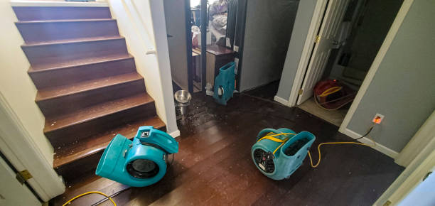  Bethel Rk, PA Water damage restoration Pros