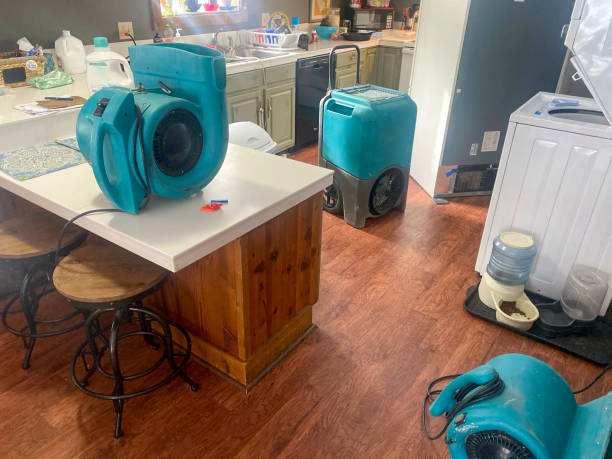 Best Sewage cleanup and water damage restoration  in Bethel Rk, PA