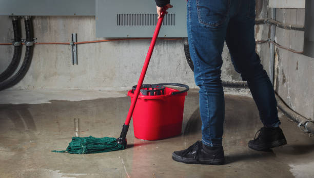 Best Residential water damage restoration  in Bethel Rk, PA