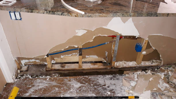 Best Carpet water damage restoration  in Bethel Rk, PA