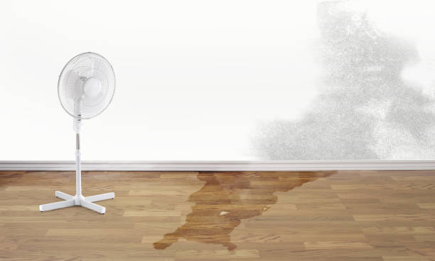 Best Water damage contractors near me  in Bethel Rk, PA