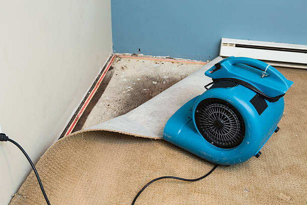 Best Flooded house restoration  in Bethel Rk, PA